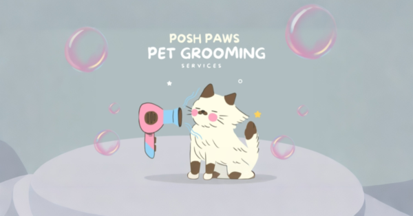 Full Grooming